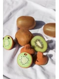 Oli & Carol Gryzak Mini Kiwi Jose Antonio the Kiwi | Pan Piksel