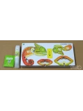 Kameleon Eugy Eko Układanka 3D | Pan Piksel