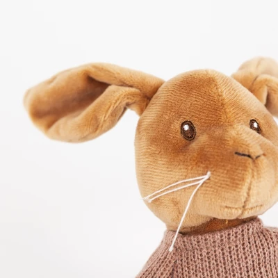 EGMONT TOYS Przytulanka muzyczna Królik Lenny | Pan Piksel