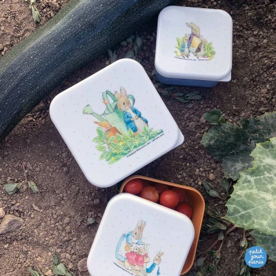 PETIT JOUR PARIS Lunch Box 3 szt/kpl Królik PIotruś | Pan Piksel