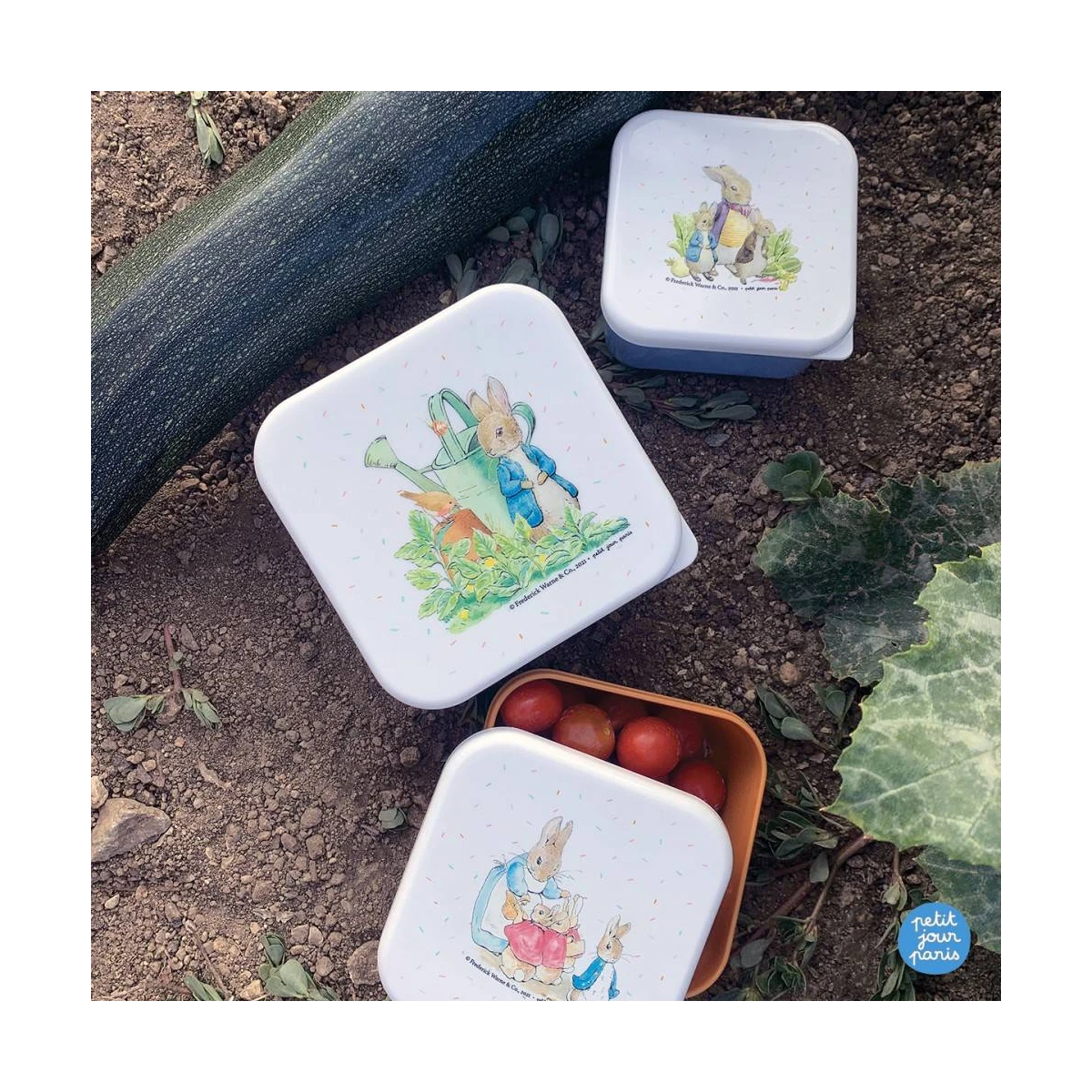 PETIT JOUR PARIS Lunch Box 3 szt/kpl Królik PIotruś | Pan Piksel