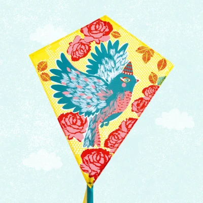 DJECO Latawiec BIRD | Pan Piksel
