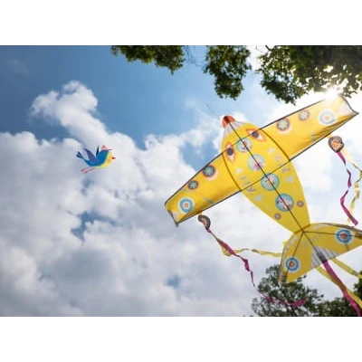 Latawiec Maxi Plane Samolot Djeco | Pan Piksel
