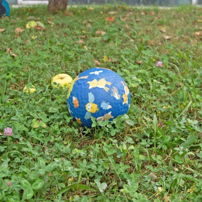 Piłka kauczukowa 17 cm Sigikid | Pan Piksel