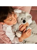 Warmies Koala Junior | Koala | Pan Piksel