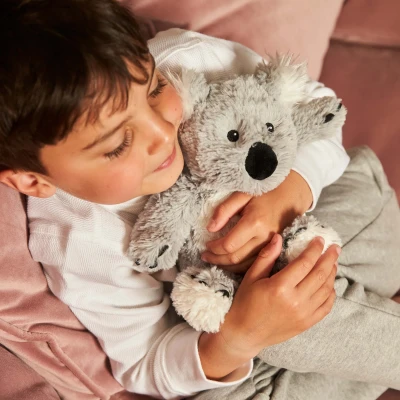 Warmies Koala Junior | Koala | Pan Piksel