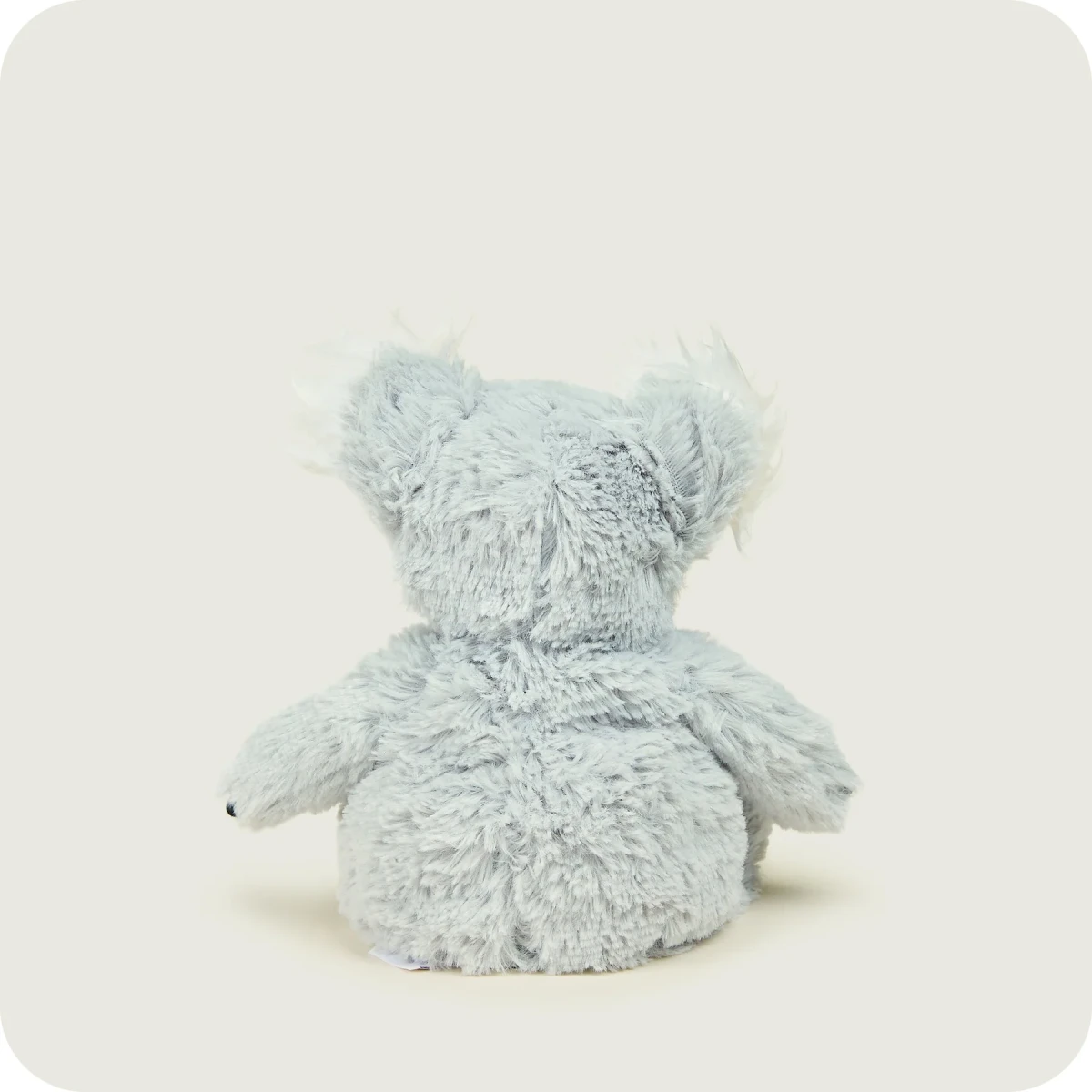 Warmies Koala Junior | Koala | Pan Piksel