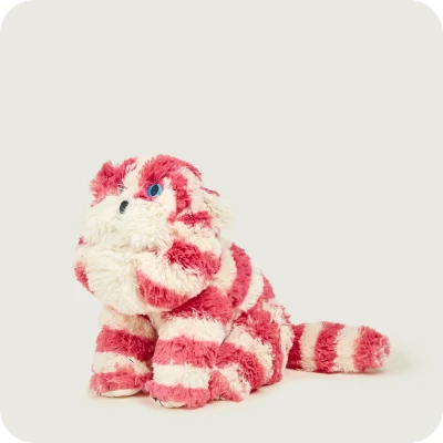 Warmies BagPuss | BagPuss | Pan Piksel