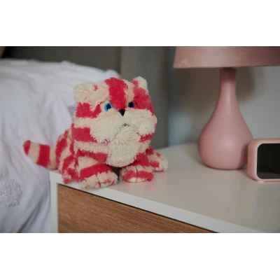 Warmies BagPuss | BagPuss | Pan Piksel