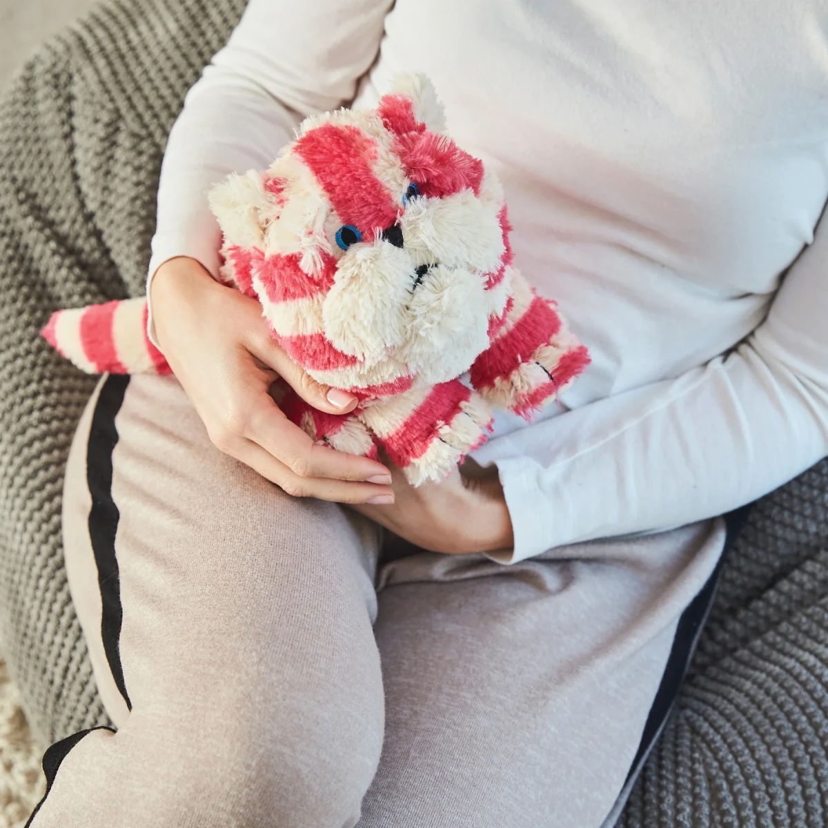 Warmies BagPuss | BagPuss | Pan Piksel