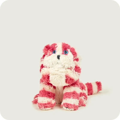 Warmies BagPuss | BagPuss | Pan Piksel