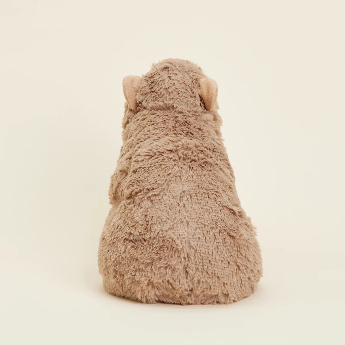 Warmies Capybara | Kapibara | Pan Piksel
