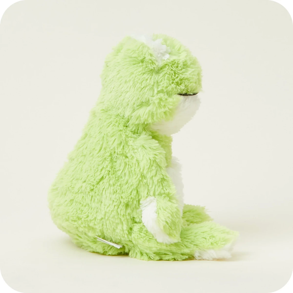 Warmies Frog | Żaba | Pan Piksel