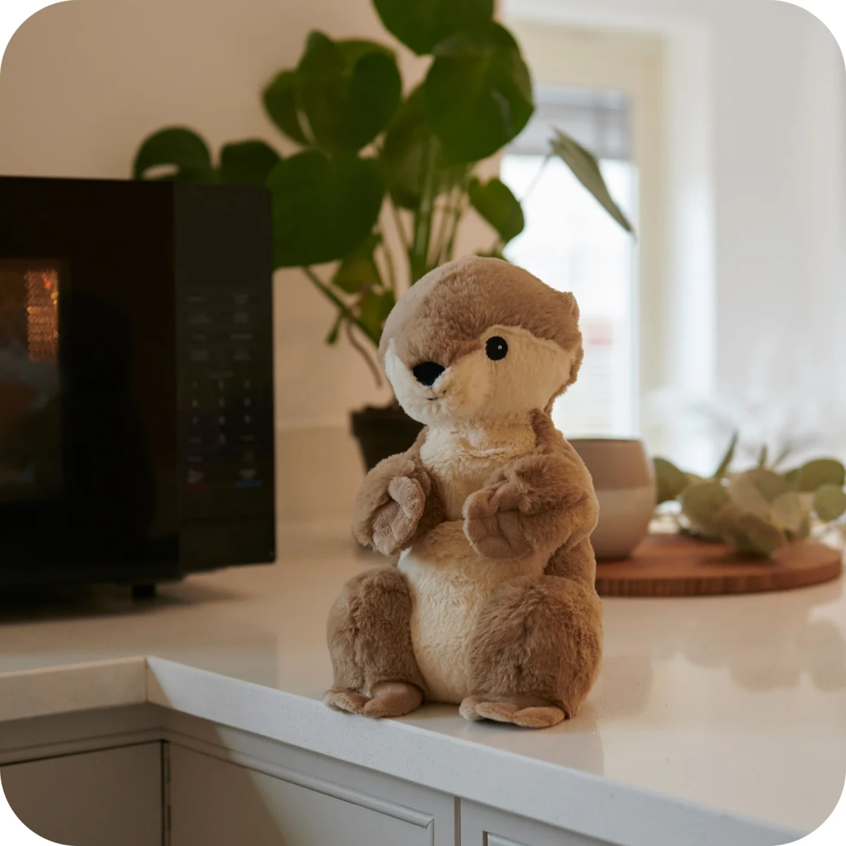Warmies Otter | Wydra | Pan Piksel