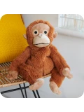 Warmies Orangutan | Orangutan | Pan Piksel