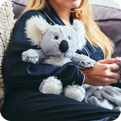 Warmies Koala | Koala | Pan Piksel