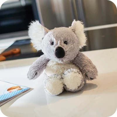 Warmies Koala | Koala | Pan Piksel