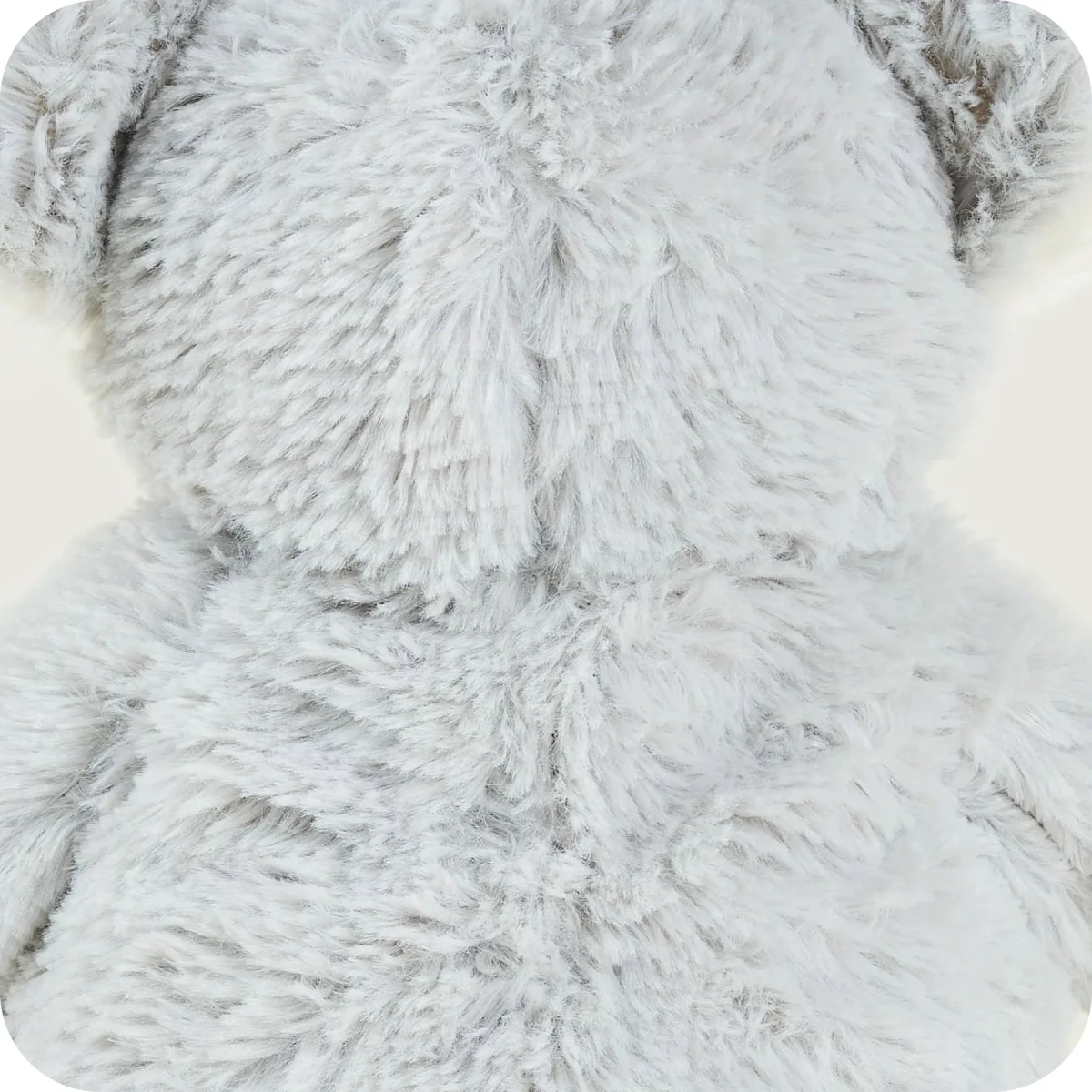 Warmies Koala | Koala | Pan Piksel