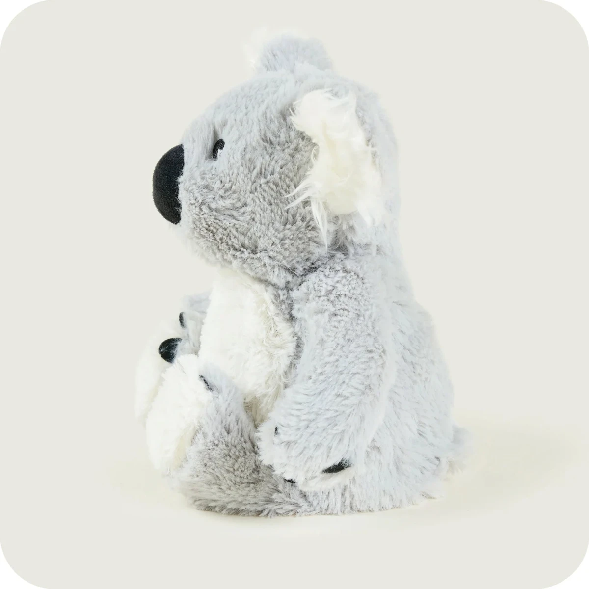 Warmies Koala | Koala | Pan Piksel
