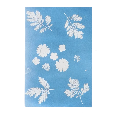 ESSCHERT DESIGN Słoneczny papier fotograficzny A4 6 szt. drukowanie słońcem UV | Pan Piksel