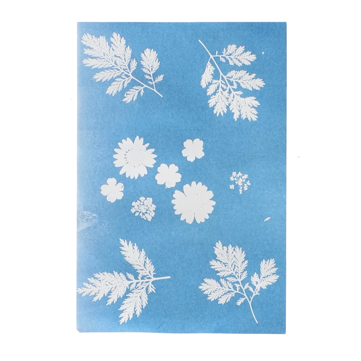 ESSCHERT DESIGN Słoneczny papier fotograficzny A4 6 szt. drukowanie słońcem UV | Pan Piksel
