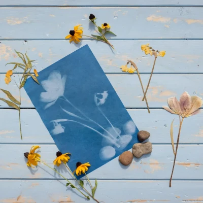 ESSCHERT DESIGN Słoneczny papier fotograficzny A4 6 szt. drukowanie słońcem UV | Pan Piksel