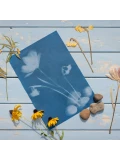 ESSCHERT DESIGN Słoneczny papier fotograficzny A4 6 szt. drukowanie słońcem UV | Pan Piksel
