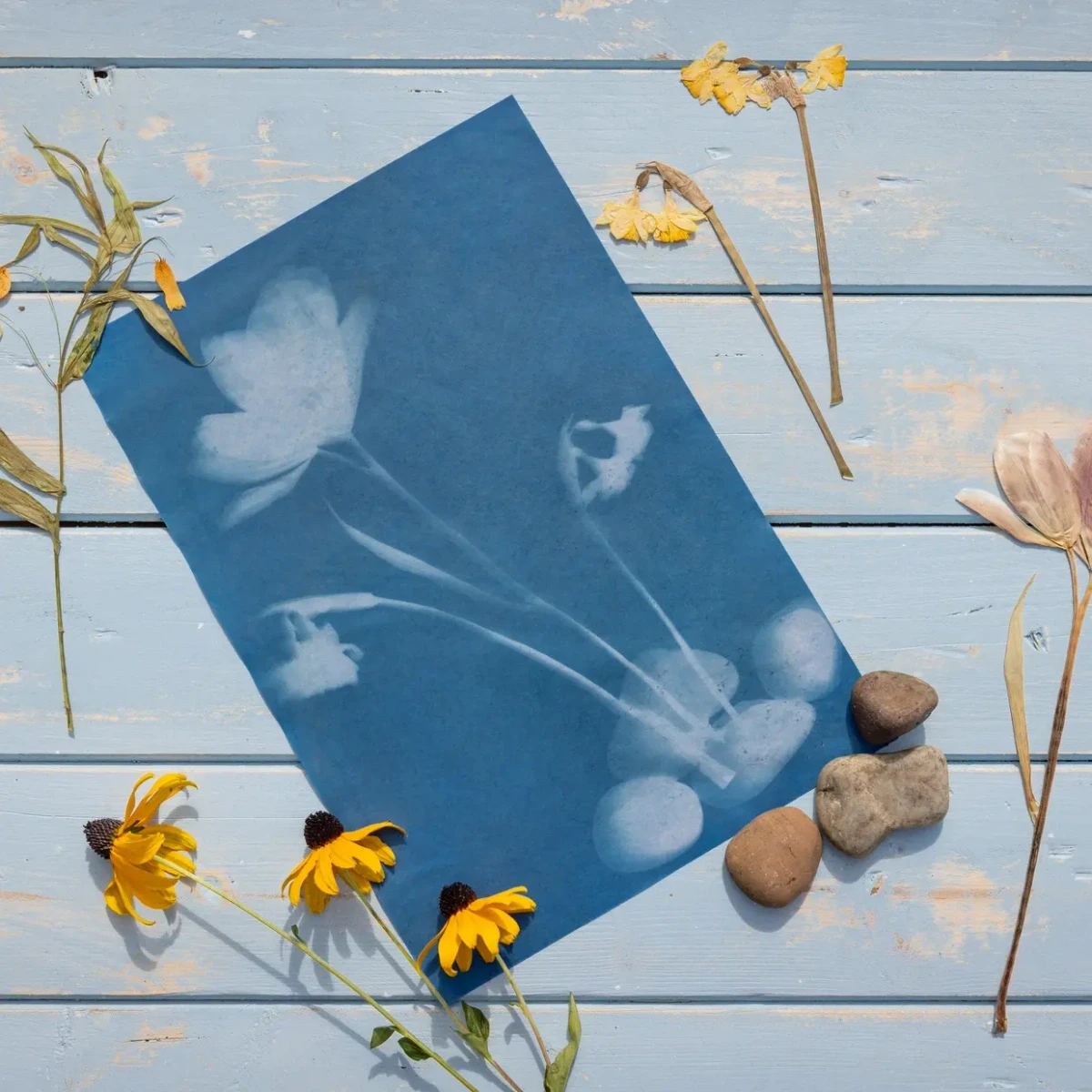 ESSCHERT DESIGN Słoneczny papier fotograficzny A4 6 szt. drukowanie słońcem UV | Pan Piksel
