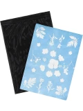 ESSCHERT DESIGN Słoneczny papier fotograficzny A4 6 szt. drukowanie słońcem UV | Pan Piksel