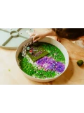 JELLYSTONE DESIGNS Jellystone Zestaw sensoryczny Zaczarowany Ogród wkład do tacki sensorycznej Play Tray | Pan Piksel