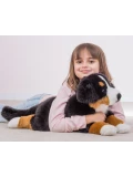 TEDDY HERMANN Maskotka Berneński Pies Pasterski leżący 60 cm | Pan Piksel