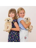 TEDDY HERMANN Maskotka Golden Retriever siedzący 30 cm | Pan Piksel