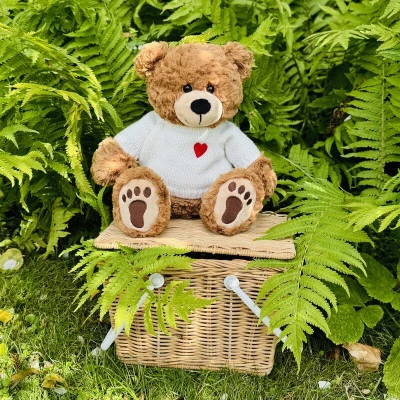 TEDDY HERMANN Maskotka miś pluszowy 30 cm w swetrze Percy | Pan Piksel