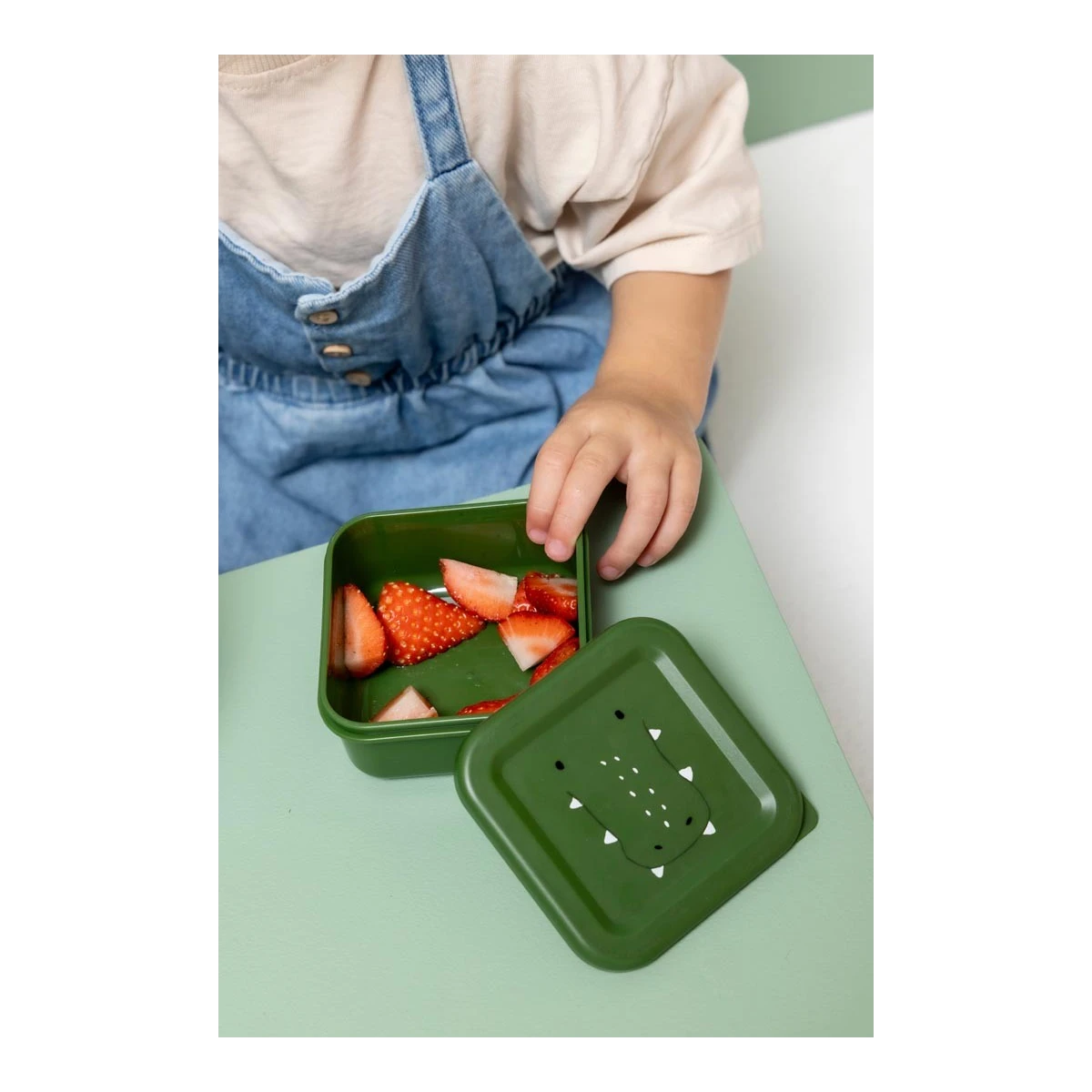 TRIXIE Zestaw pojemników na przekąski 3 szt. – Aligator Baby | Pan Piksel