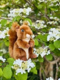 TEDDY HERMANN Maskotka Wiewiórka 17 cm | Pan Piksel