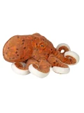 WILD REPUBLIC Ośmiornica maskotka dla dziecka 30 cm Cuddlekins | Pan Piksel