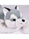 DOUDOU ET COMPAGNIE DOUDOU obciążeniowy pluszowy pies husky Podcoll Histoire d'Ours 50 cm jasny szary