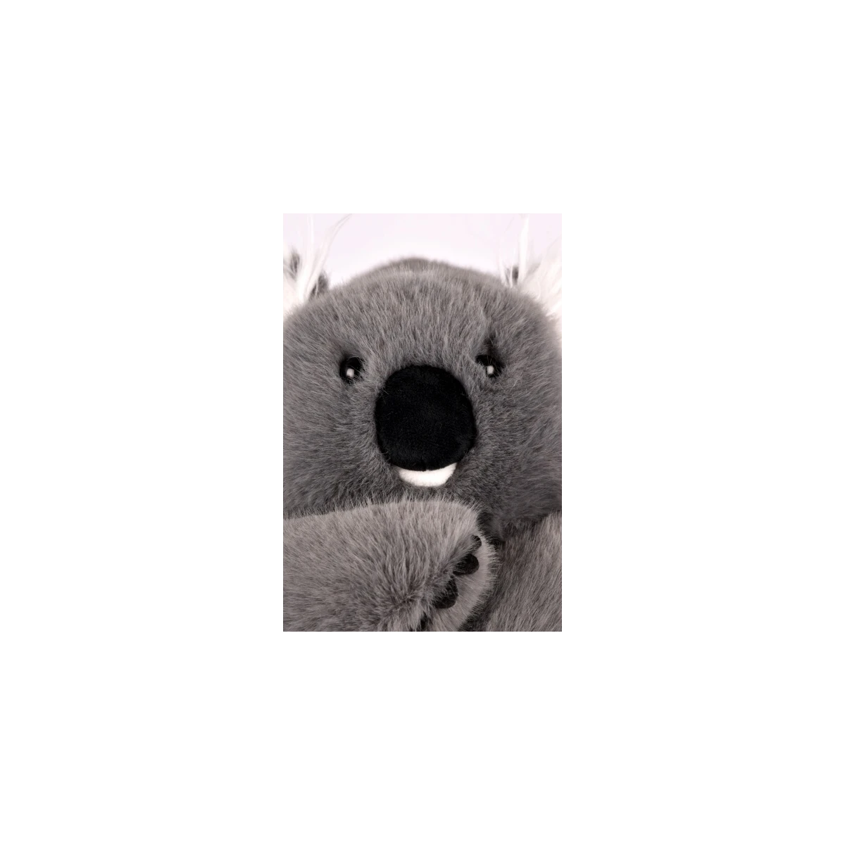 DOUDOU ET COMPAGNIE DOUDOU obciążeniowy pluszowy koala Podcoll Histoire d'Ours 50 cm ciemny szary
