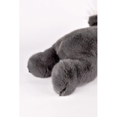 DOUDOU ET COMPAGNIE DOUDOU obciążeniowy pluszowy koala Podcoll Histoire d'Ours 50 cm ciemny szary