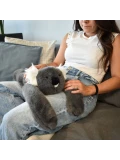 DOUDOU ET COMPAGNIE DOUDOU obciążeniowy pluszowy koala Podcoll Histoire d'Ours 50 cm ciemny szary