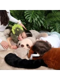 DOUDOU ET COMPAGNIE DOUDOU obciążeniowy pluszowy leniwiec Podcoll Histoire d'Ours 100 cm beżowy