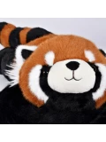 DOUDOU ET COMPAGNIE DOUDOU obciążeniowa pluszowa panda ruda Podcoll Histoire d'Ours 75 cm pomarańczowy