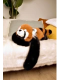 DOUDOU ET COMPAGNIE DOUDOU obciążeniowa pluszowa panda ruda Podcoll Histoire d'Ours 50 cm pomarańczowy