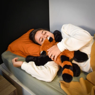 DOUDOU ET COMPAGNIE DOUDOU obciążeniowa pluszowa panda ruda Podcoll Histoire d'Ours 50 cm pomarańczowy