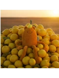 DOUDOU ET COMPAGNIE DOUDOU MIAM! John Lemon 40 cm pomarańczowa cytryna