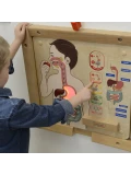 MASTERKIDZ Tablica Edukacyjna Układ Trawienny Montessori | Pan Piksel