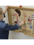 MASTERKIDZ Tablica Edukacyjna Układ Trawienny Montessori | Pan Piksel