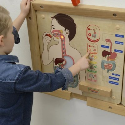 MASTERKIDZ Tablica Edukacyjna Układ Trawienny Montessori | Pan Piksel