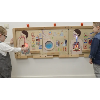 MASTERKIDZ Tablica Edukacyjna Układ Trawienny Montessori | Pan Piksel