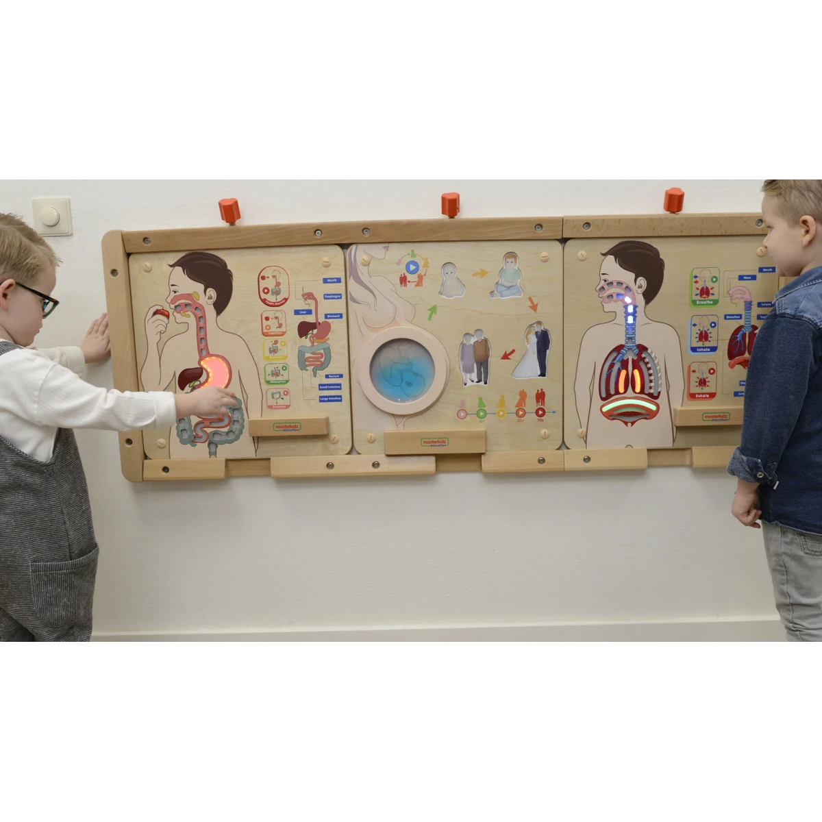MASTERKIDZ Tablica Edukacyjna Układ Trawienny Montessori | Pan Piksel